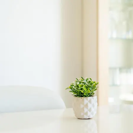 Apartment Lovely In With Swimming Pool